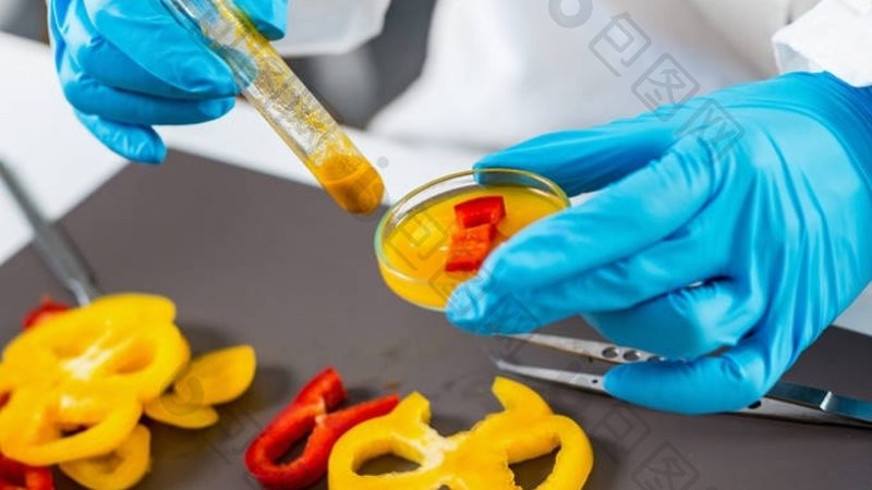 浙江蜜饯果干大型工厂排名